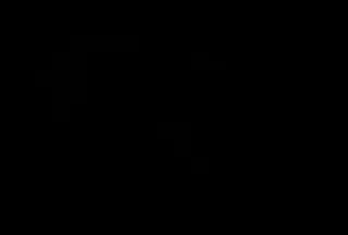 Фото №1 - Бутылка шампанского в жопе