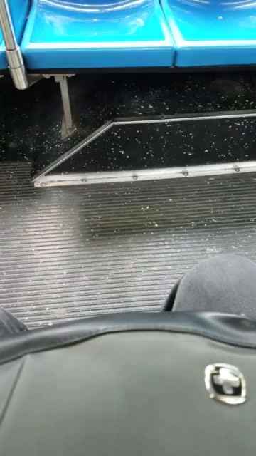 Фото №1 - Девушки с удовольствием смотрят на дрочера в автобусе